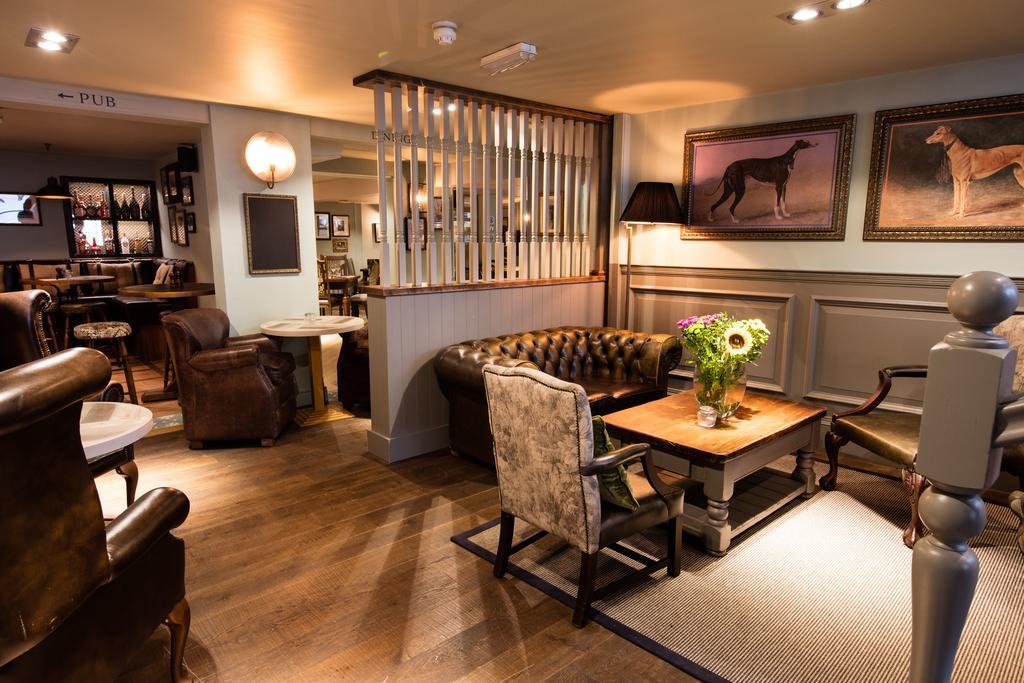 Hotel Greyhound 3*